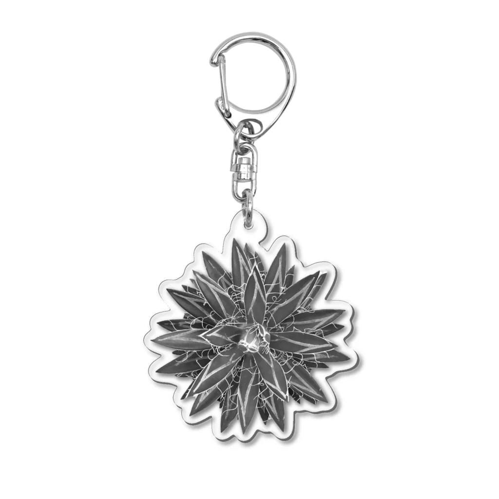 SawtoothのAgave schidigera 'Shira ito no Ohi' Acrylic Key Chain