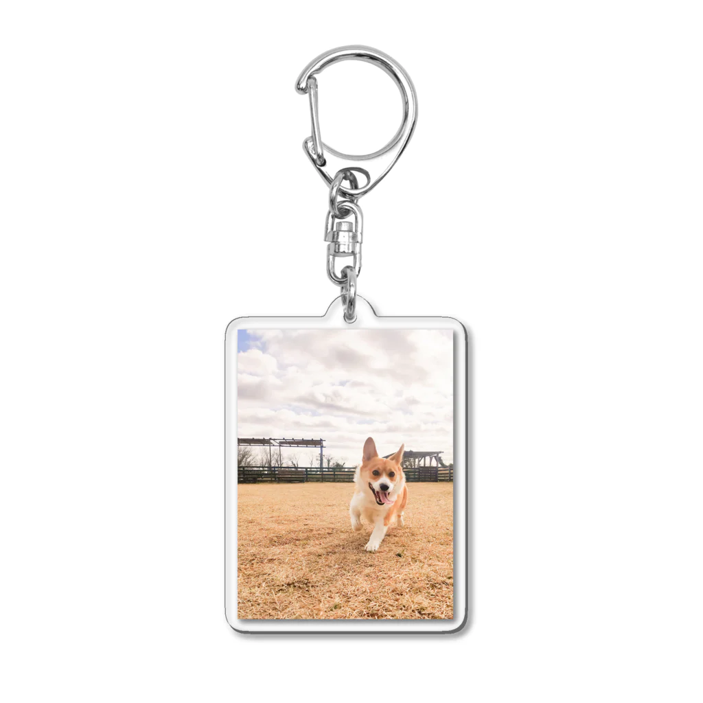 脚長コーギーの脚長コーギーむぎくん Acrylic Key Chain