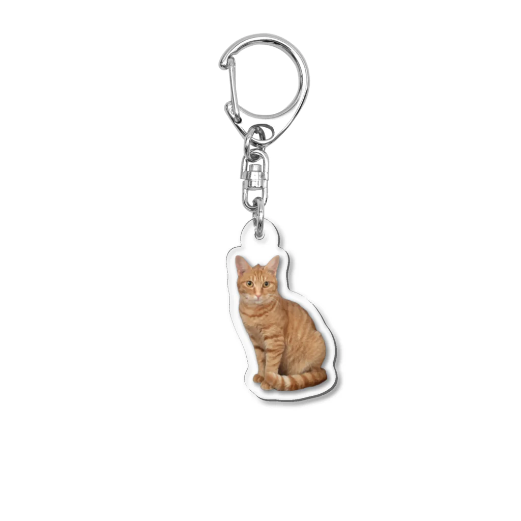 モルモットのミマモル隊のチャトラン🐱 Acrylic Key Chain