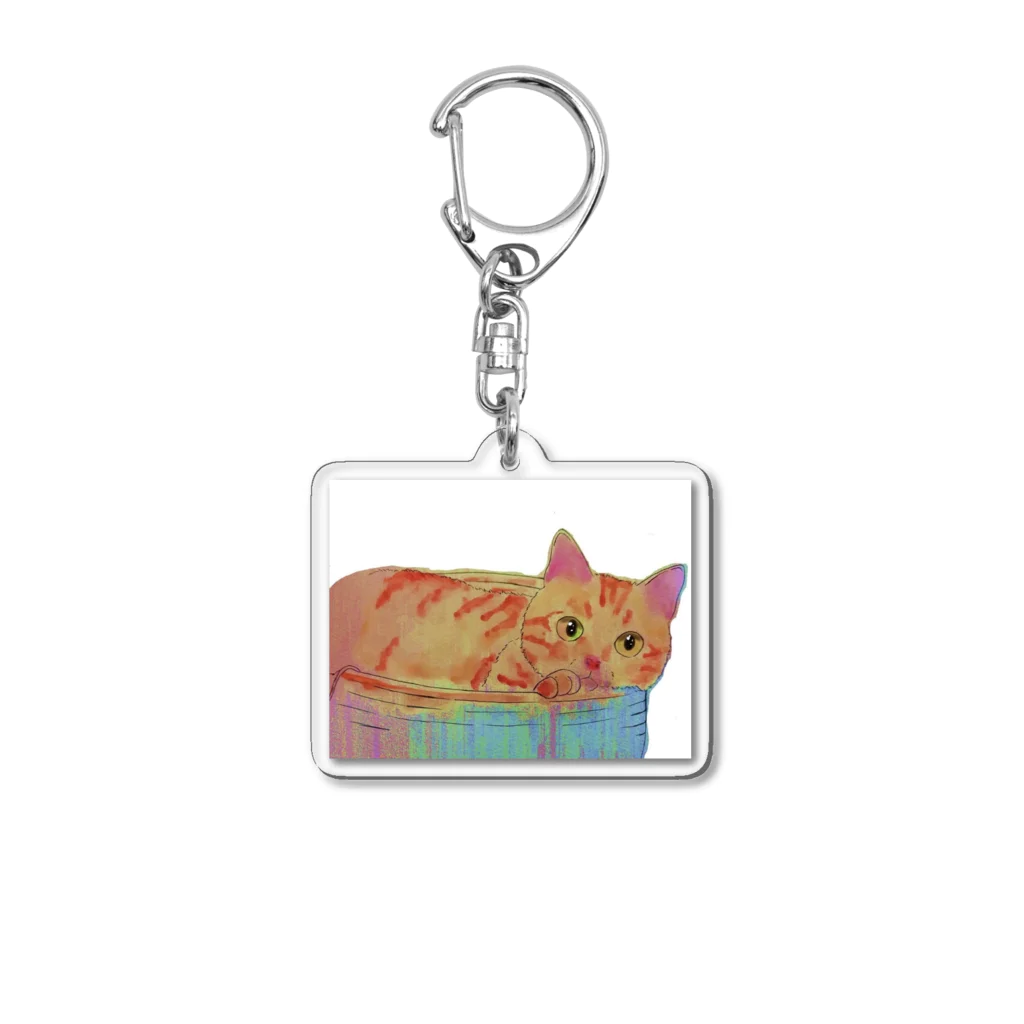 保護猫茶トラ兄弟LIFEのインコちゃん Acrylic Key Chain