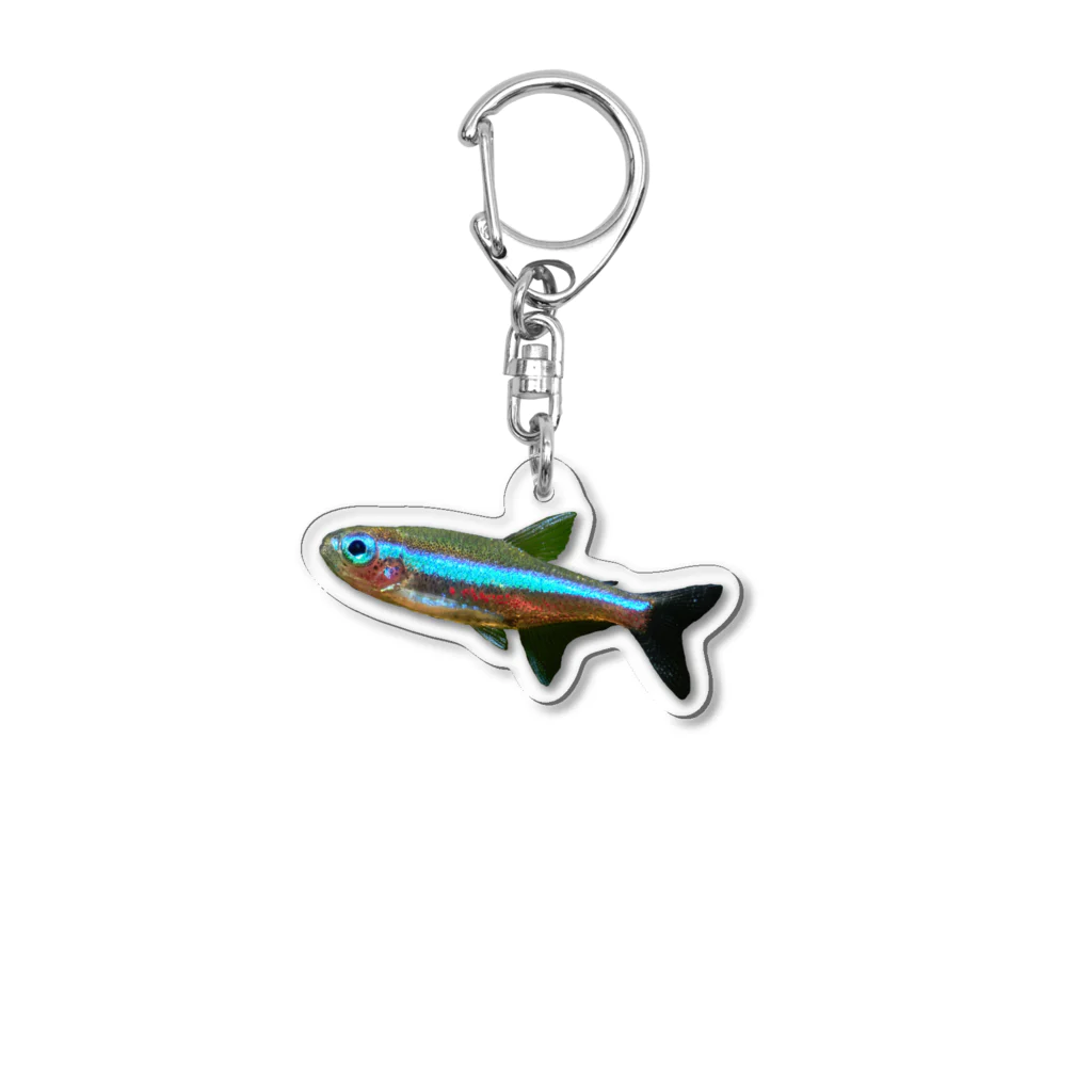 Aquarium Kindのグリーンネオンテトラ Acrylic Key Chain