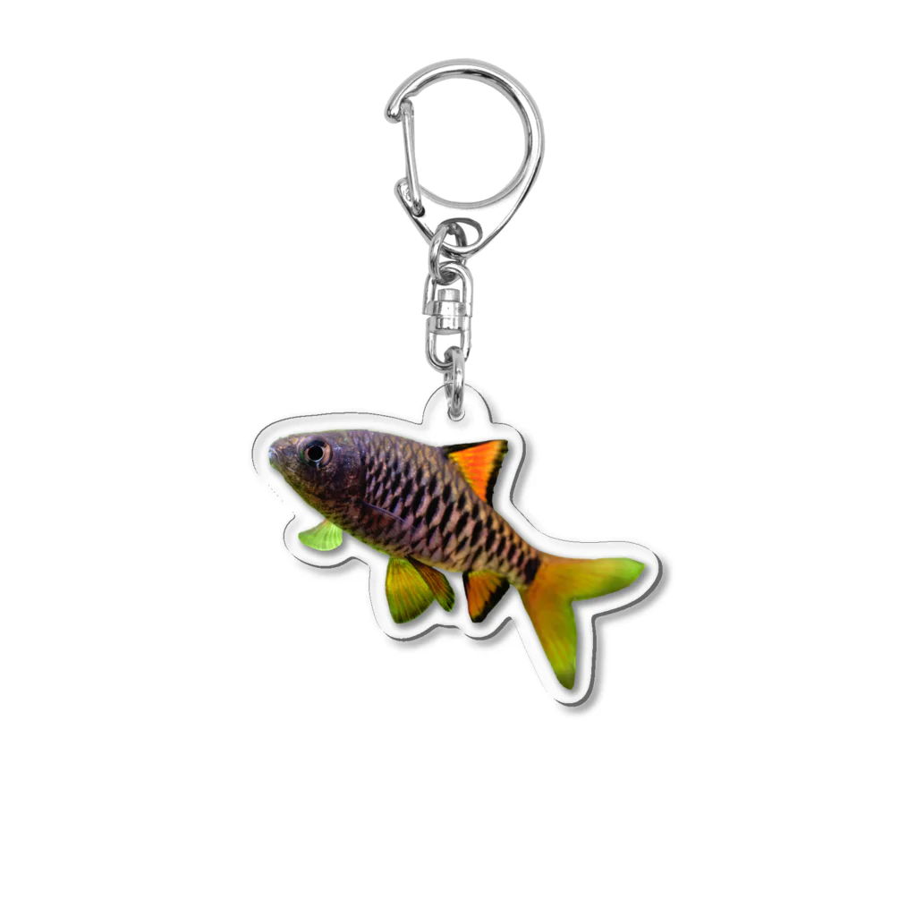 Aquarium Kindのチェッカーバルブ Acrylic Key Chain