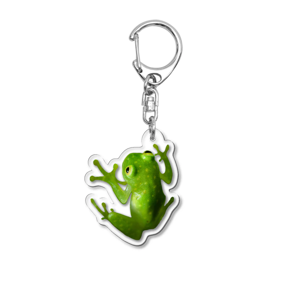 Aquarium Kindのフライシュマン・アマガエルモドキ Acrylic Key Chain