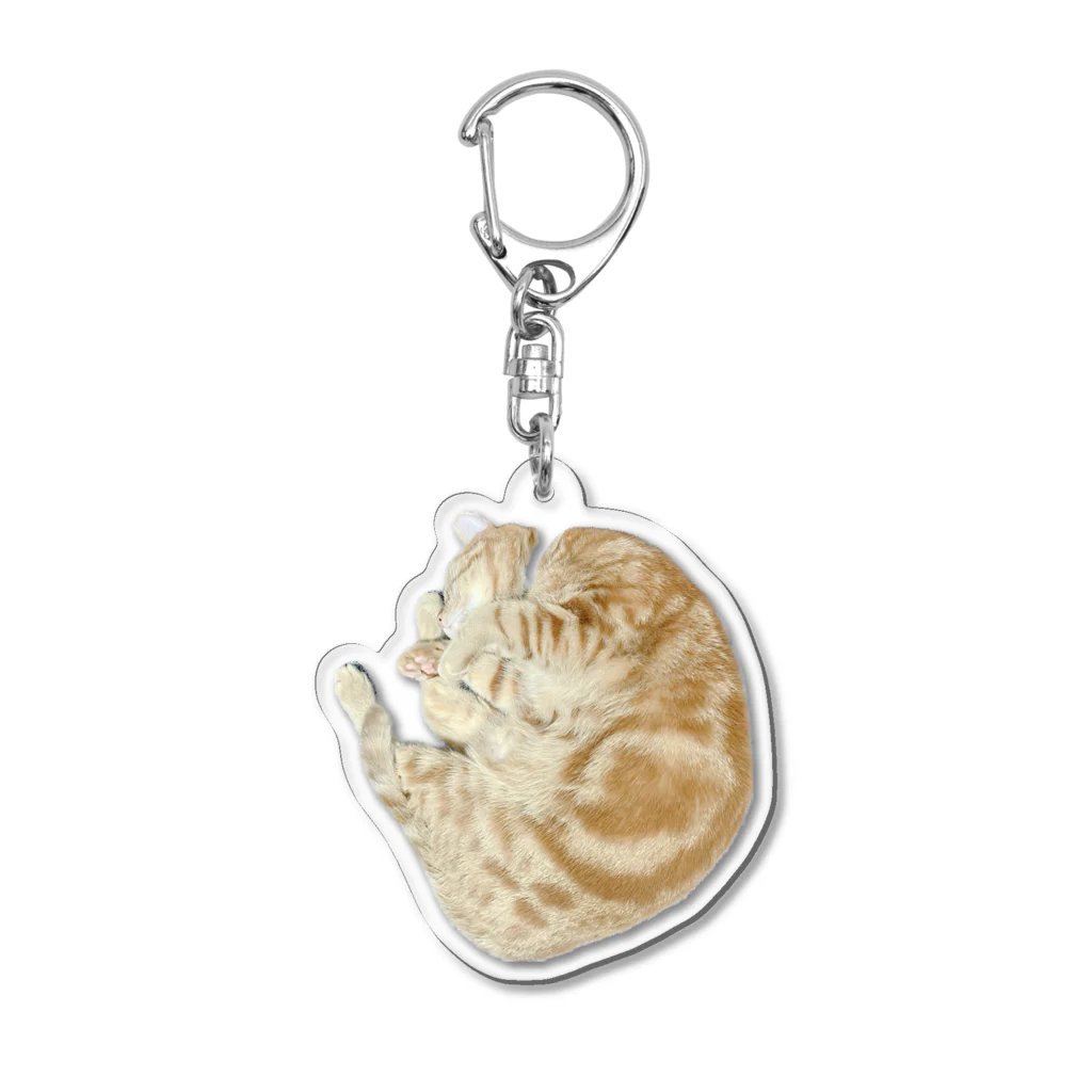 茶太郎🐱とモンブランの茶太郎のニャンモナイトシリーズ Acrylic Key Chain