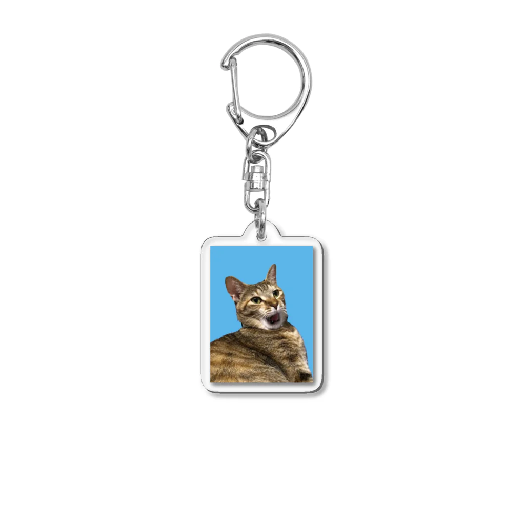 だの猫のタカラチャン Acrylic Key Chain