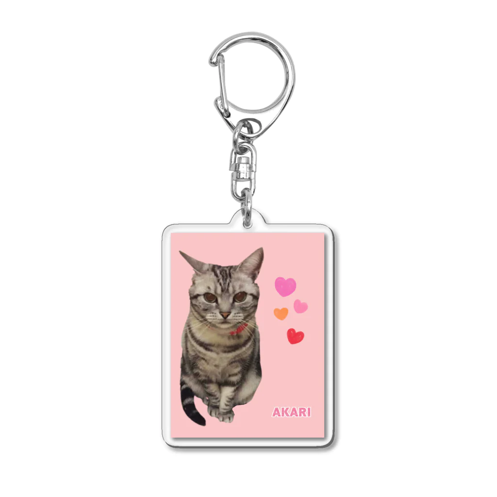 harupink🌸ペット似顔絵illustのアメショのアカリちゃん(REALver) Acrylic Key Chain