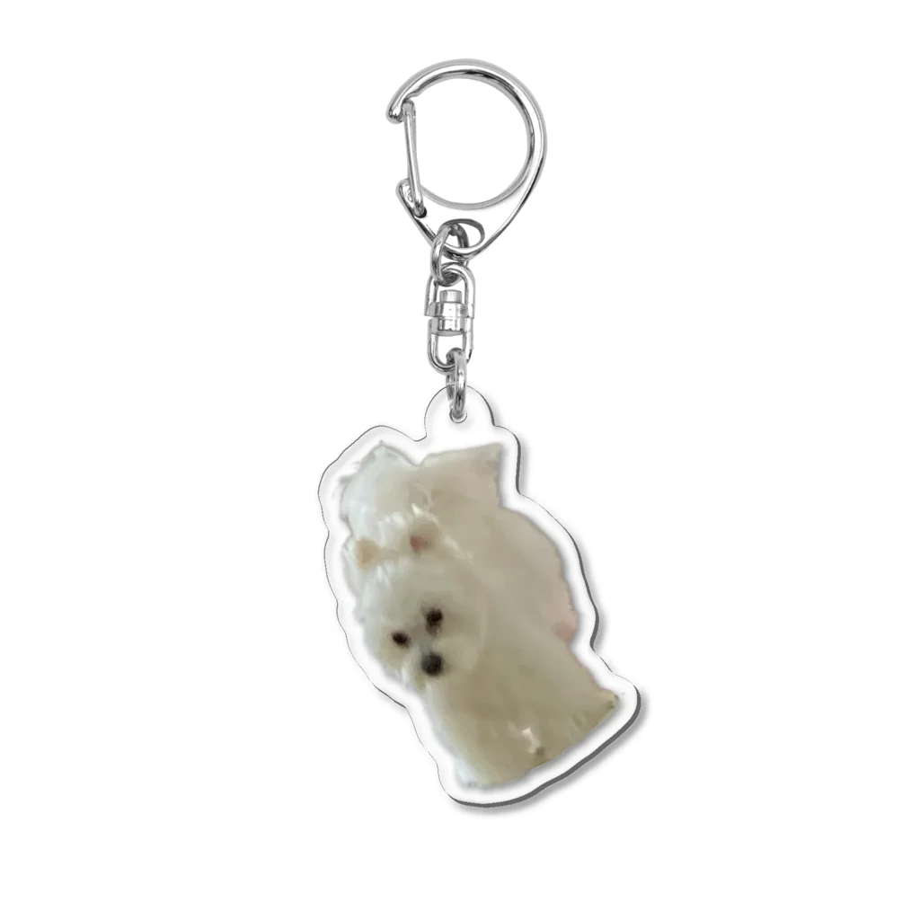 お顔がつよいおいぬ犬さまの倉庫の飛んでもかわいいおいぬ様 Acrylic Key Chain