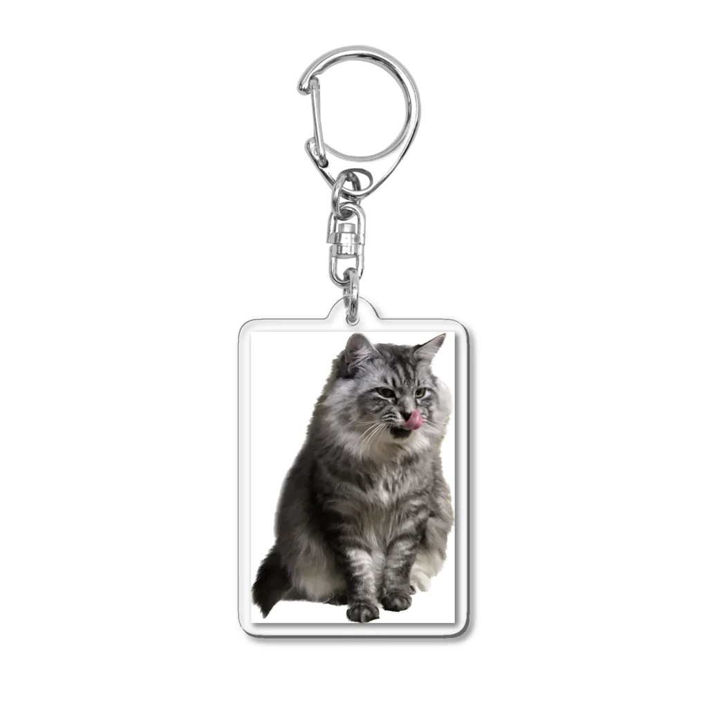 保護猫ファミリーの獅鳳コレクション2 Acrylic Key Chain