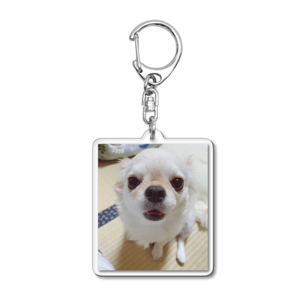 れいちゅる。のちくわくん Acrylic Key Chain