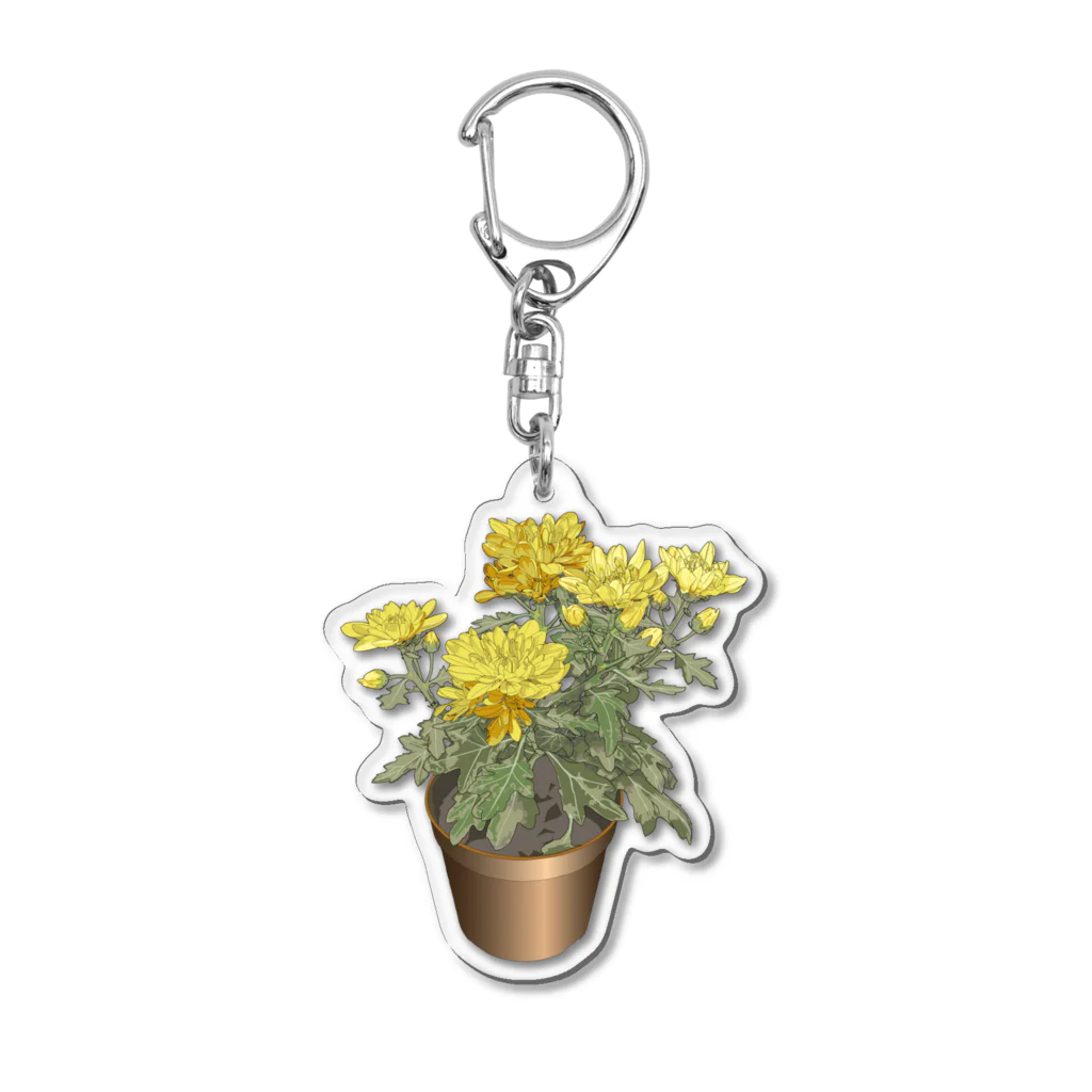 植物の絵師「洋子」の店の鉢植えの菊 Acrylic Key Chain