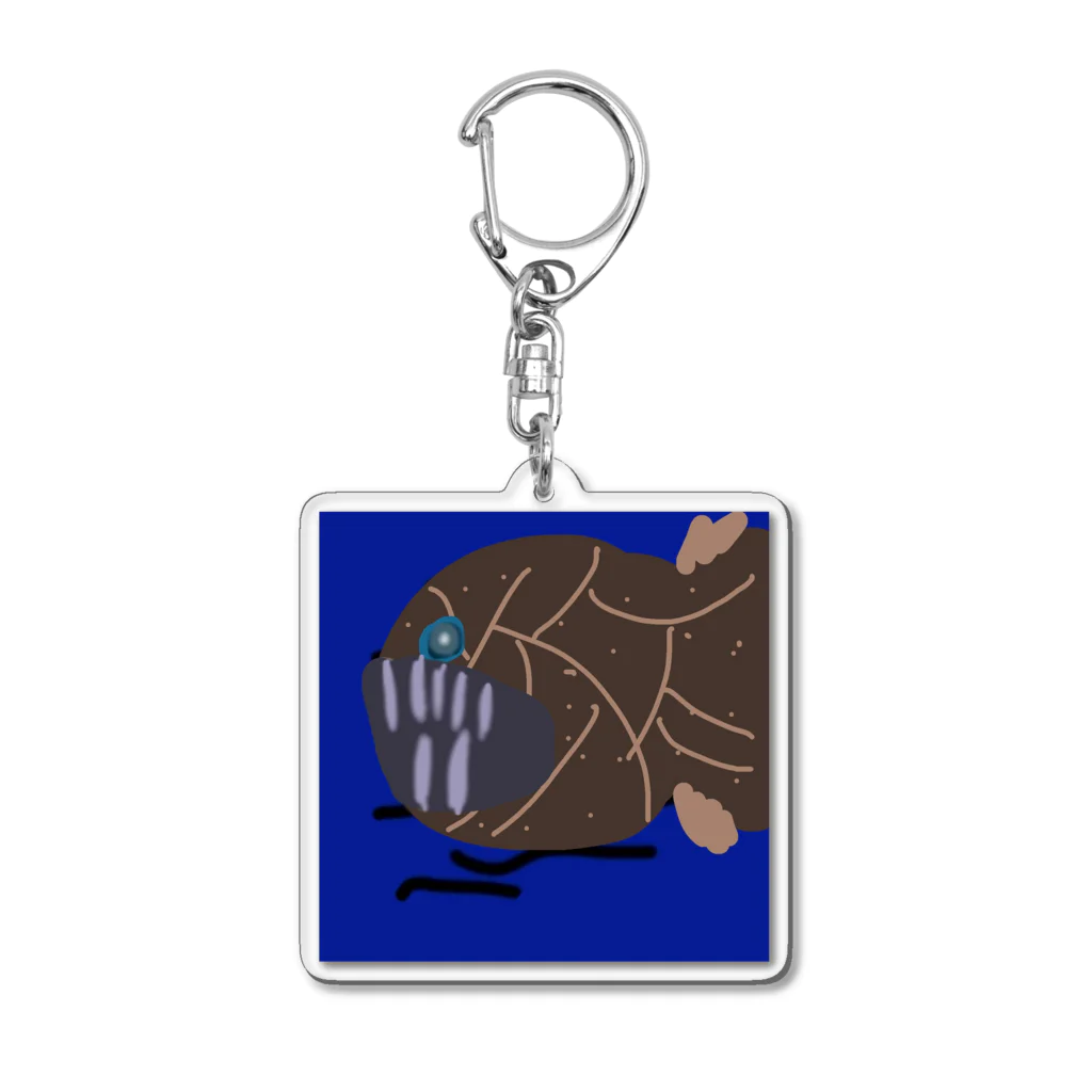 Akali_to_youのAkaliの深海魚シリーズ オニキンメミックス Acrylic Key Chain