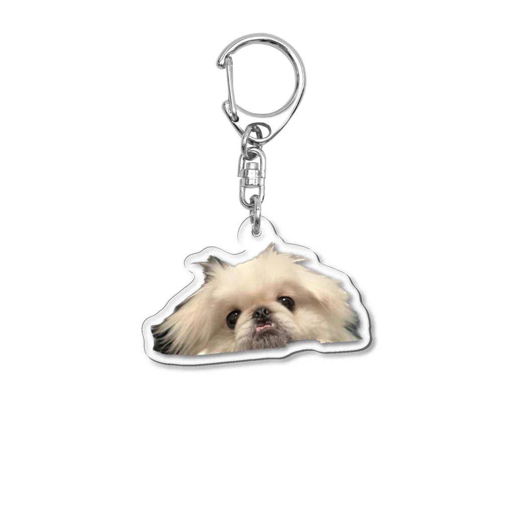 いぬいぬいぬのたんたんいんだすとりある Acrylic Key Chain