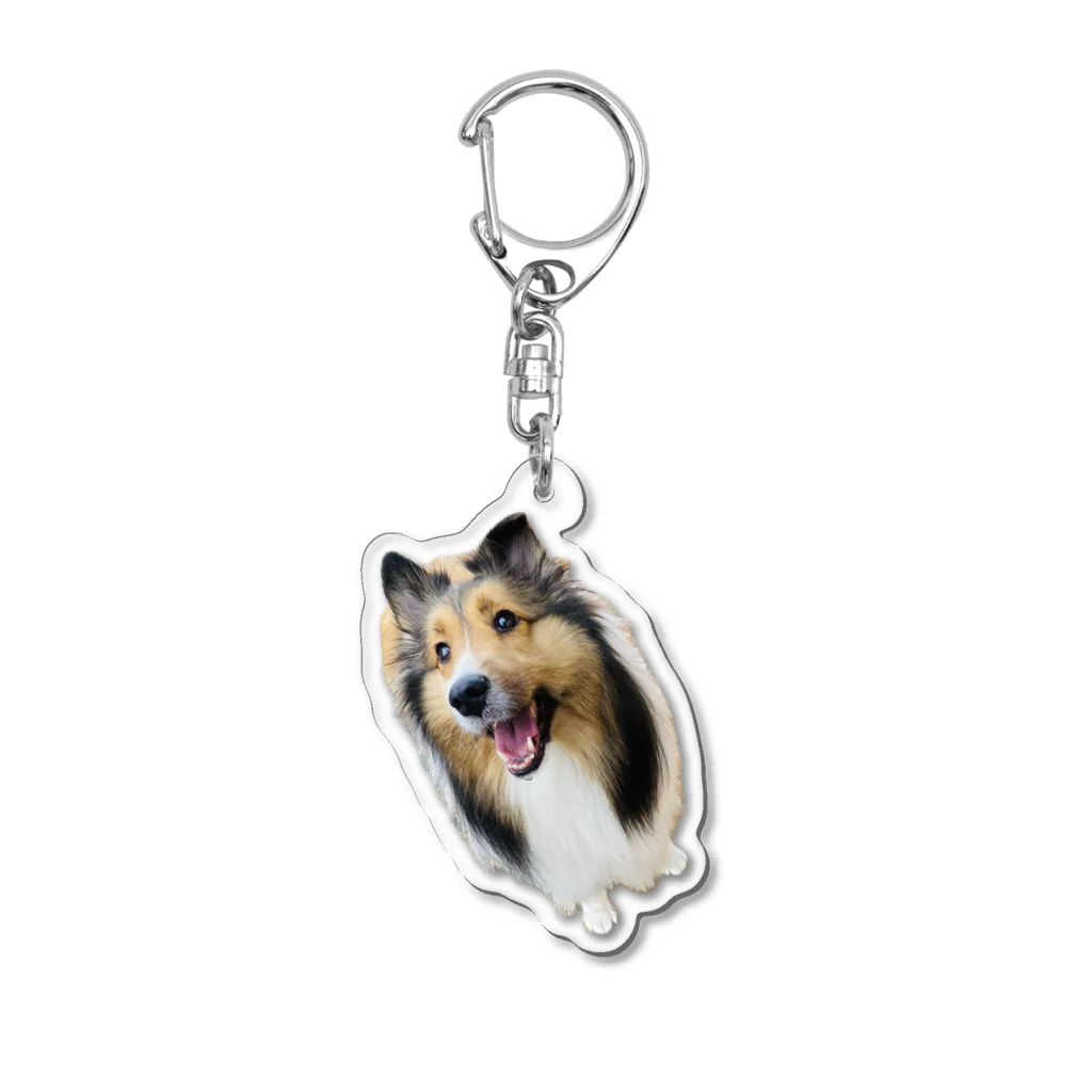 せののイヌべ秋2 Acrylic Key Chain