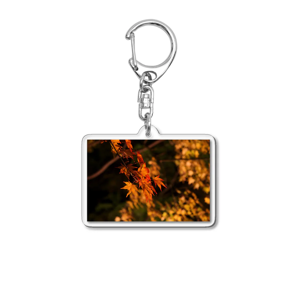 nokkccaのライトアップ紅葉 - Japanese maple(night shot) - Acrylic Key Chain