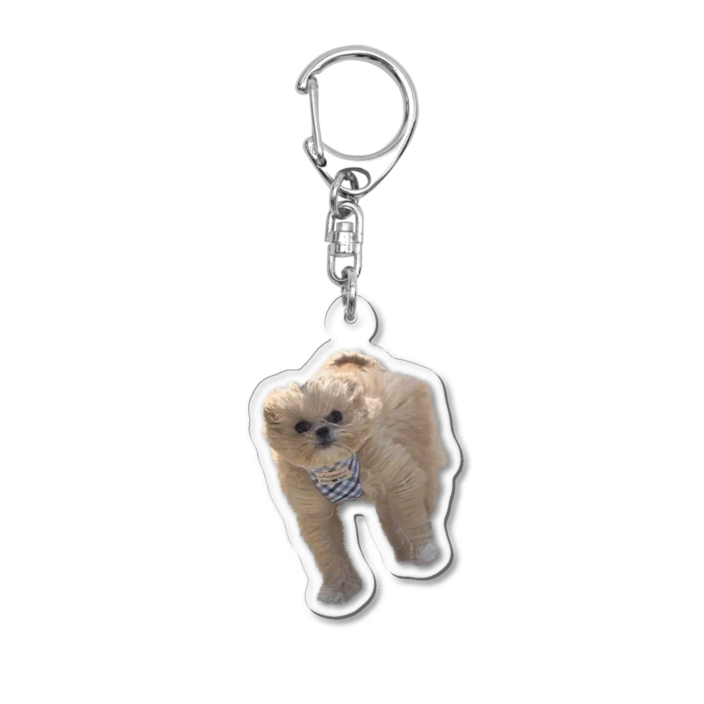 犬、キアヌの風にも負けない犬 Acrylic Key Chain