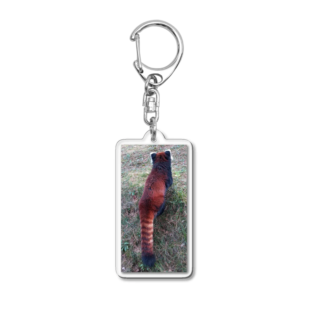 CHERRYSTONE🍒猫眼石検定の小熊猫（レッサーパンダ） Acrylic Key Chain