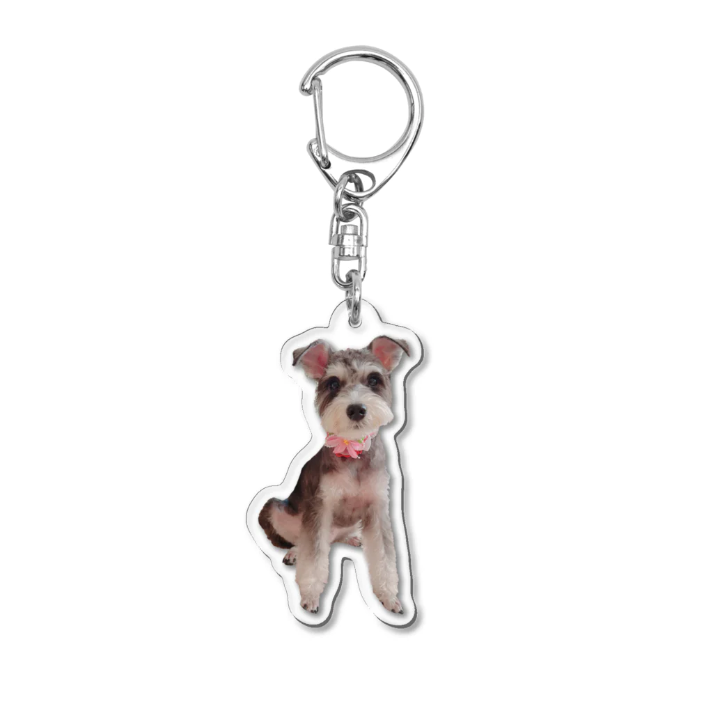 channitoのアフタートリミング犬 Acrylic Key Chain