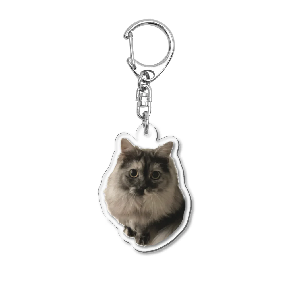 ドッポちゃんの可愛いモフ猫 Acrylic Key Chain