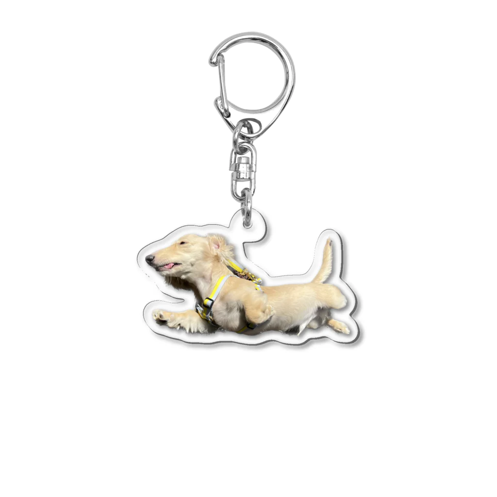 ふっくらぶんたとひよっこティプ のスーパードッグ Acrylic Key Chain