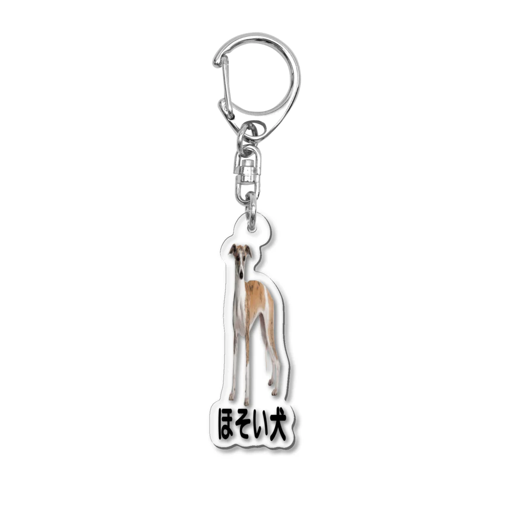 パクチー大好き倶楽部のほそい犬 Acrylic Key Chain