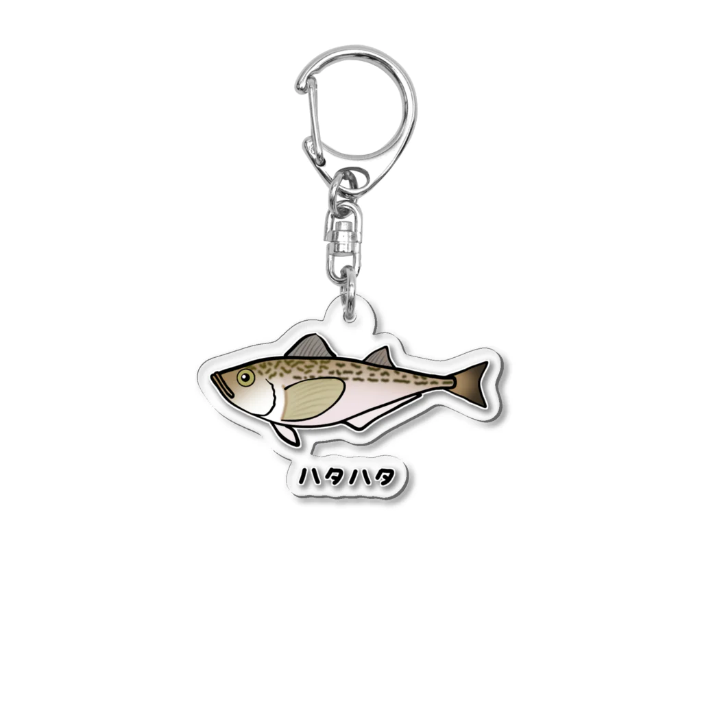 脂身通信Ｚの【魚シリーズ】ハタハタ♪221208 Acrylic Key Chain