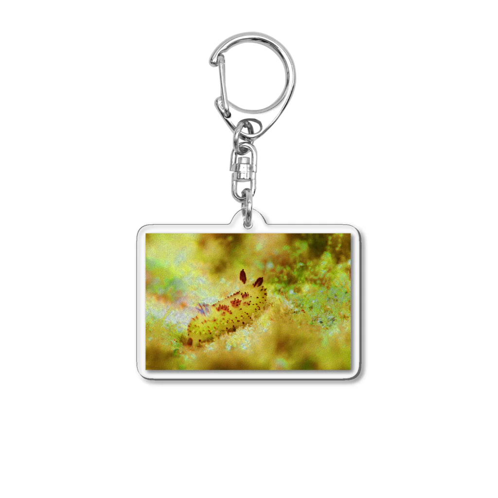 ウミウシグッズmegyumiushiの油絵風ゴマフビロードウミウシ🏝 Acrylic Key Chain