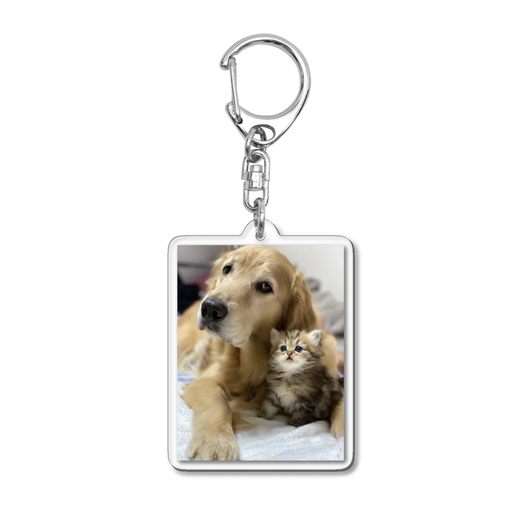 ゴールデンのまりとラブラドールのオレオに娘のあかりちゃんのまり仔猫ドック Acrylic Key Chain