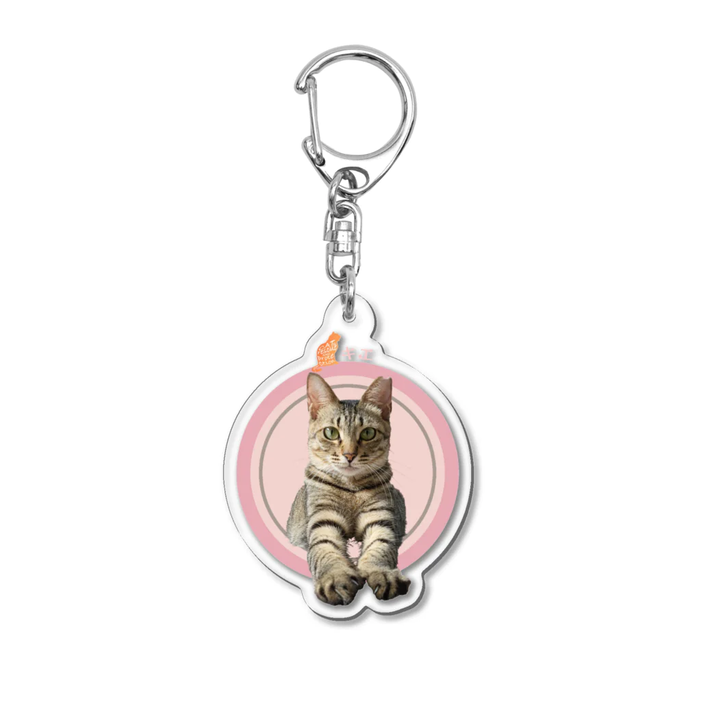 保護ねこの家の飛び出せ！キエちゃんby黒豆猫 Acrylic Key Chain