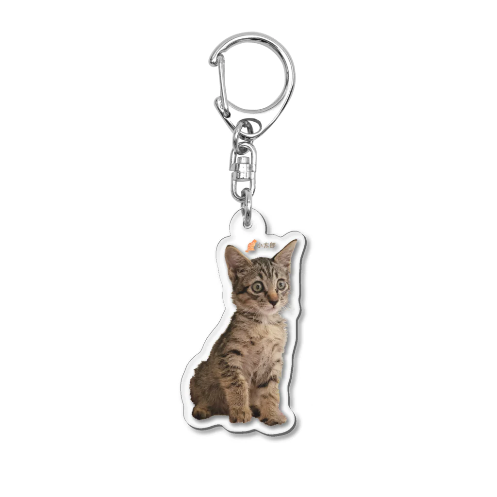 保護ねこの家のいつもおめめまんまる。小太郎by黒豆猫 Acrylic Key Chain