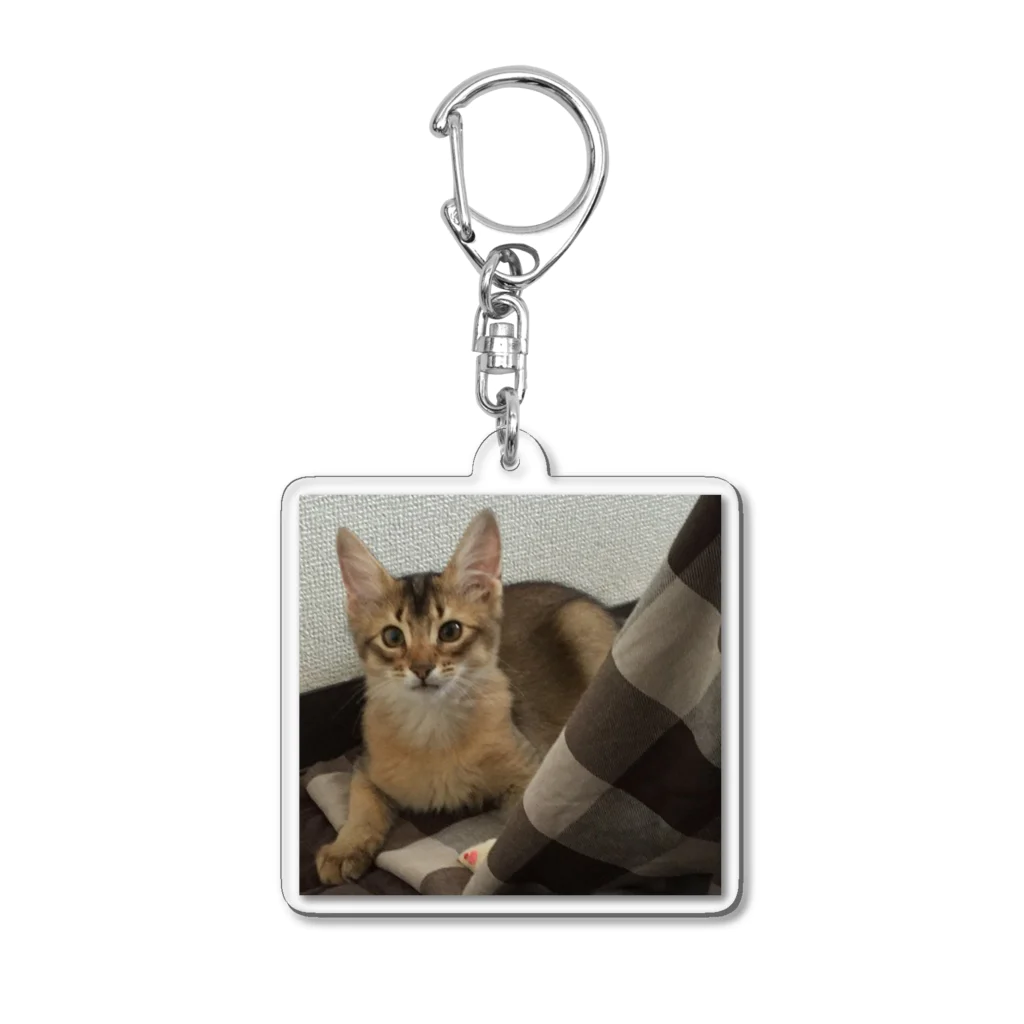 komugi_catのヤングコムギ Acrylic Key Chain