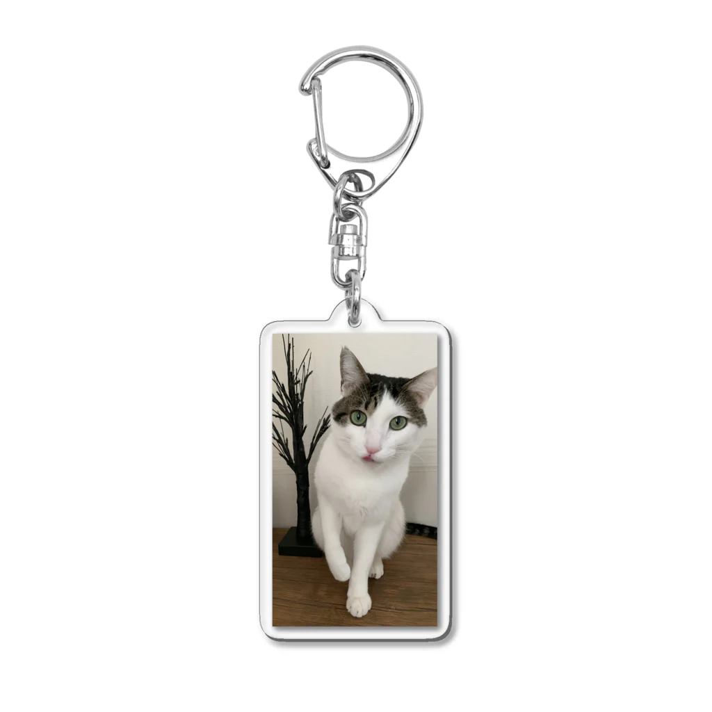 飴色の猫の紋さん(ペロリ) Acrylic Key Chain