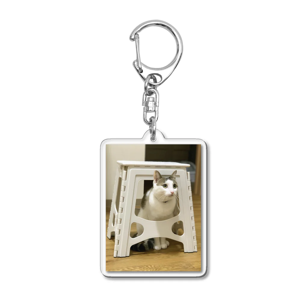 飴色の猫のテオ(かくれてるつもり) Acrylic Key Chain