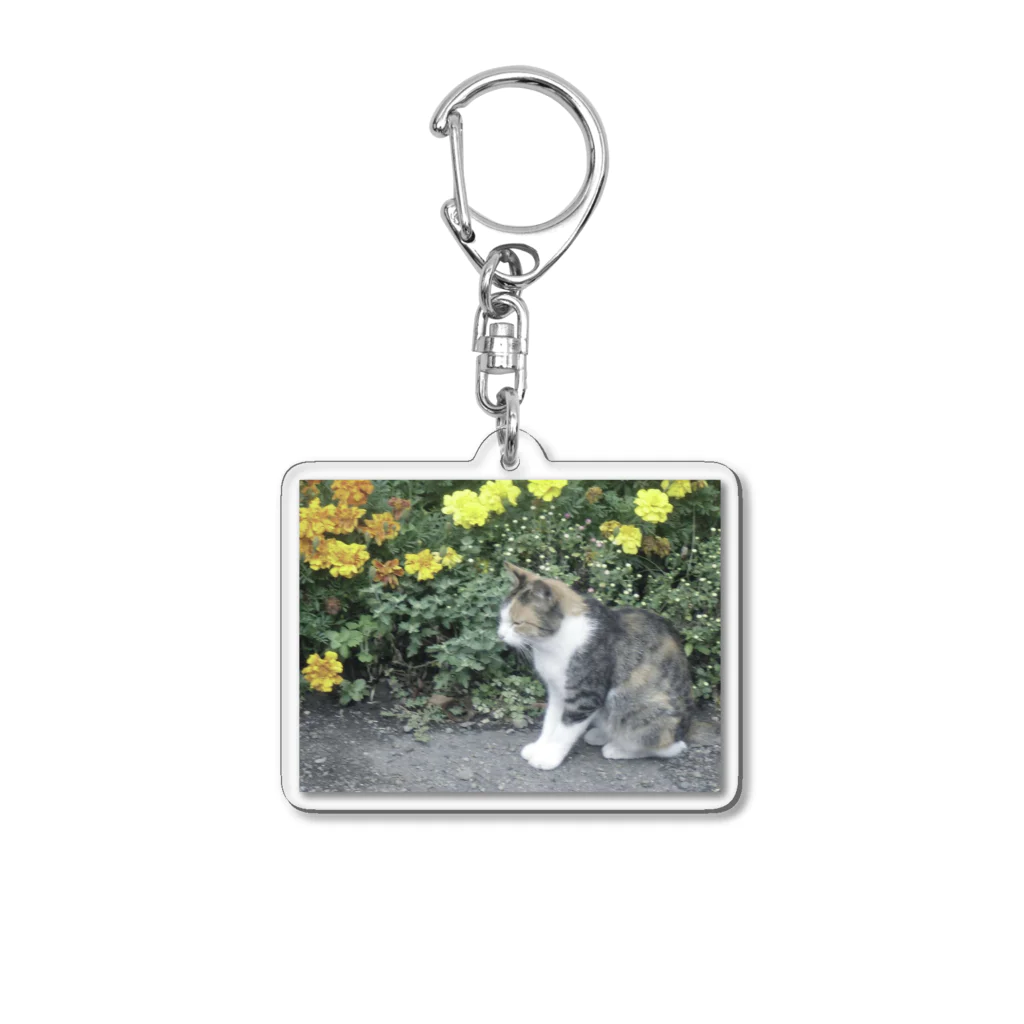 fmnのhometown cat Acrylic Key Chain