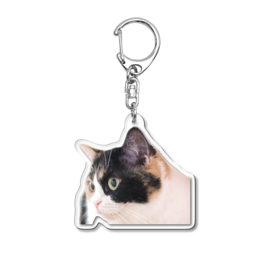 しゅり坊の斜め角度のくれはちゃん Acrylic Key Chain