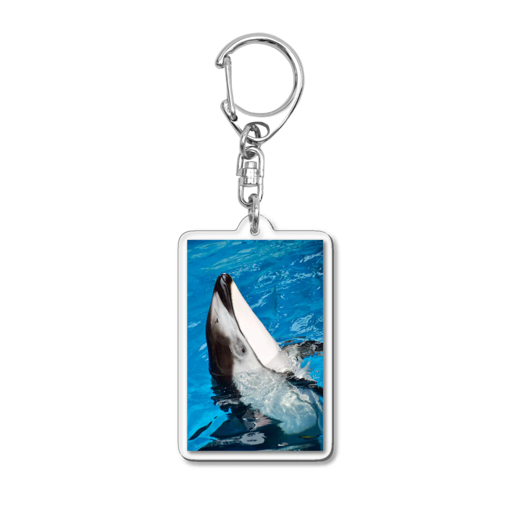 モルモルのお店のカマイルカ Acrylic Key Chain