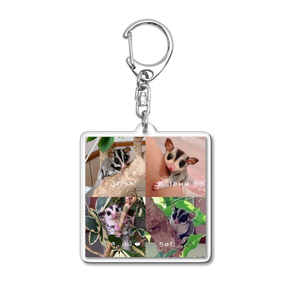 モモンガのしっぽの4 Sugar gliders! Acrylic Key Chain