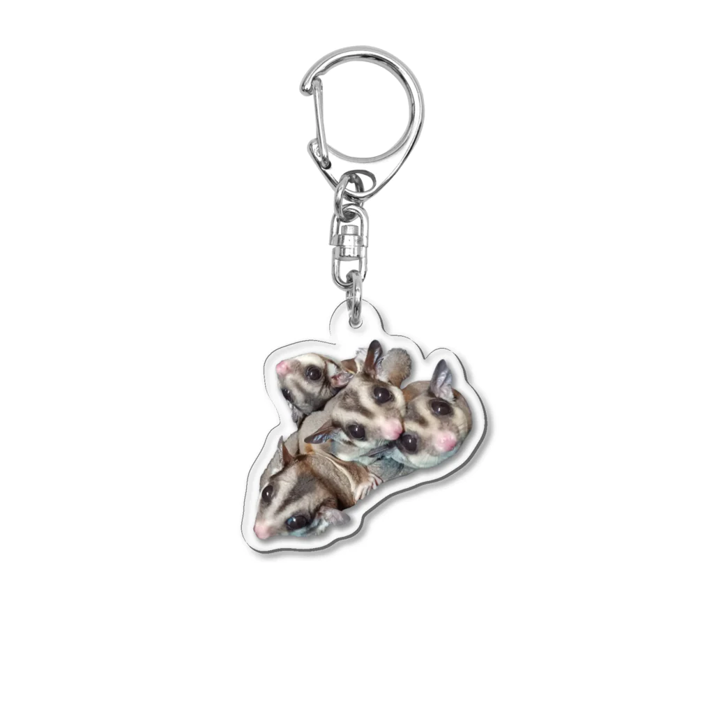 モモンガのしっぽの4 Sugar gliders! ver.3 Acrylic Key Chain