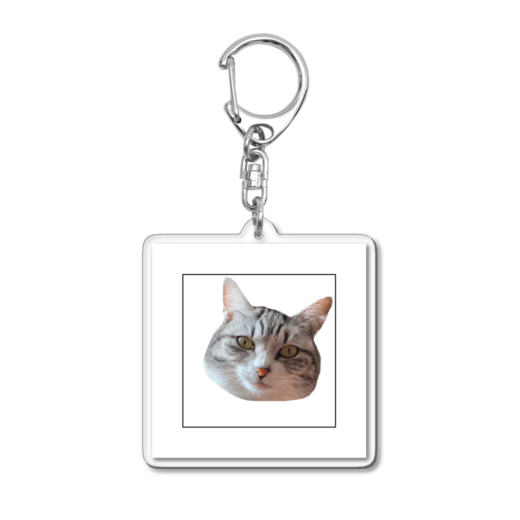 momotenn.shopのうちのねこ Acrylic Key Chain