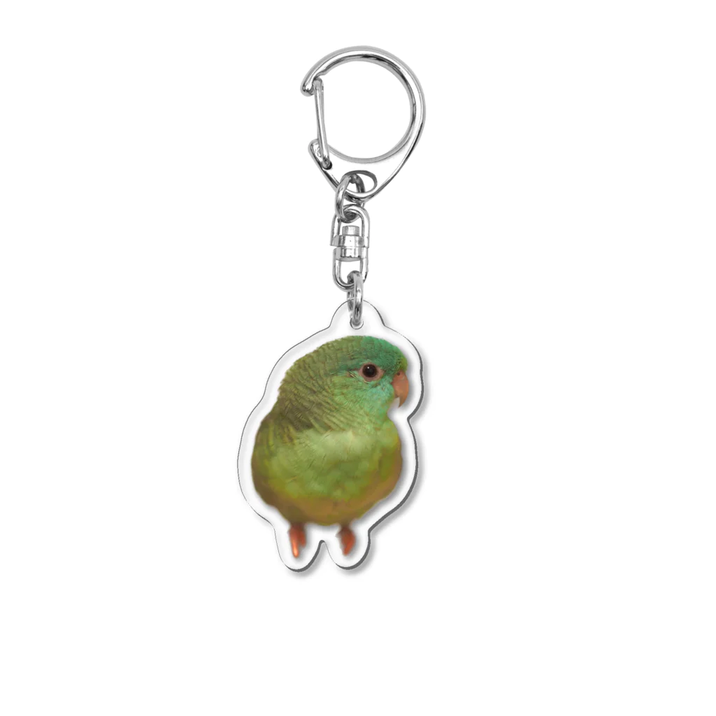 crawling0chaosのサザナミインコのルリくん（だるま） Acrylic Key Chain