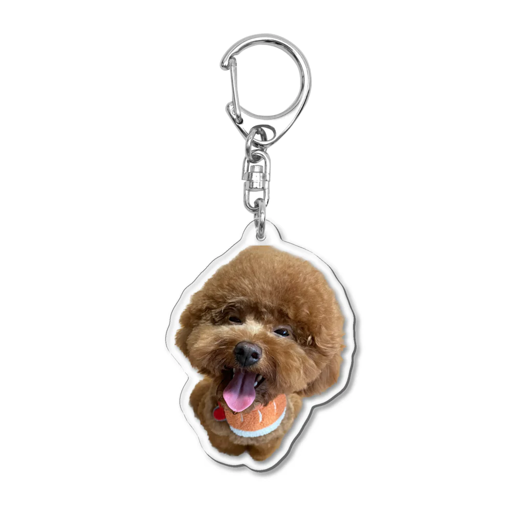 癒しわんこ🐶の全力笑顔トイプードル Acrylic Key Chain