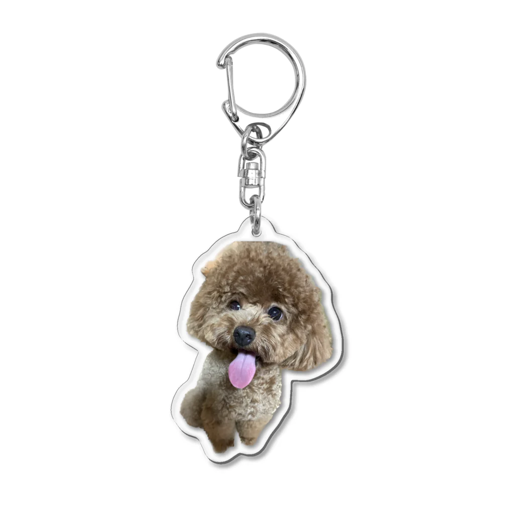 癒しわんこ🐶のチラ見トイプードル Acrylic Key Chain