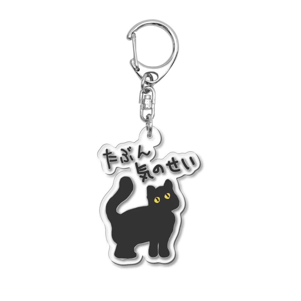 ミナミコアリクイ【のの】のたぶん気のせい【黒猫】 アクリルキーホルダー