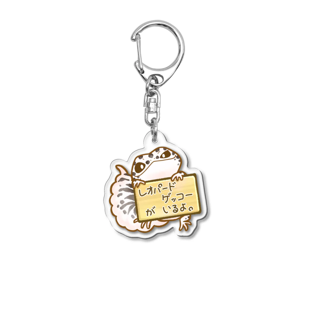 はちゅまみれSHOPのレオパードゲッコーがいるよ。モルフ① Acrylic Key Chain