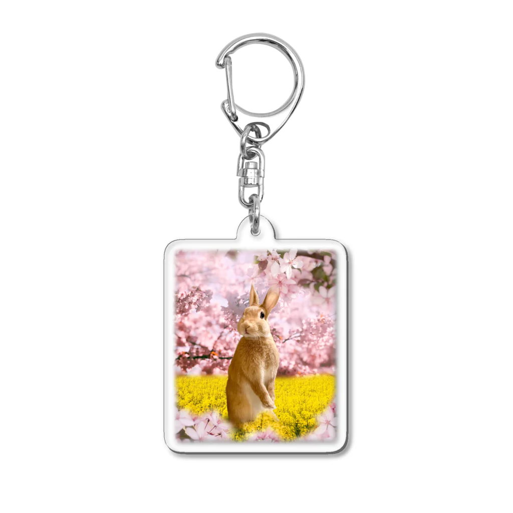 うさぎのうみちゃんねるショップのお花見うさぎ-うさぎのうみ Acrylic Key Chain