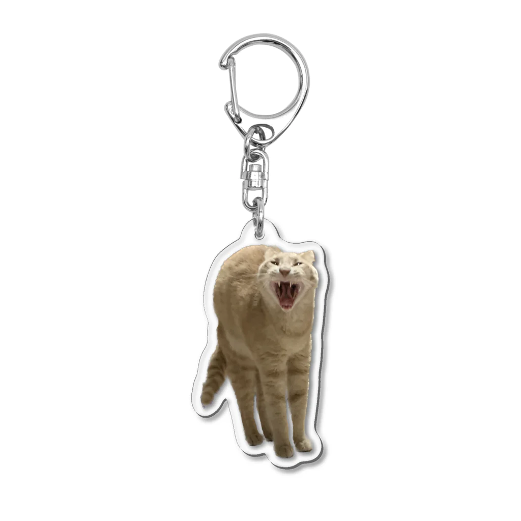 茶トラねこずのあくび猫のシロ Acrylic Key Chain