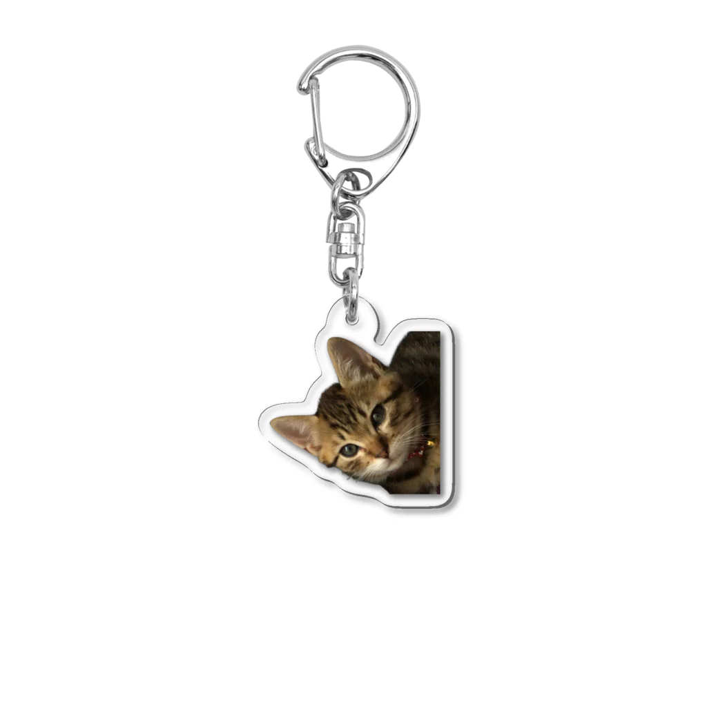 とらねこのリョウくんのきじとらのジンくん Acrylic Key Chain