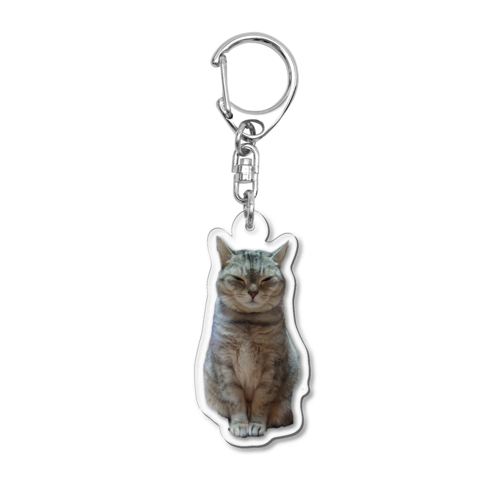 参@Silvapp応援垢の猫といっしょ 〜ちょんた〜 Acrylic Key Chain