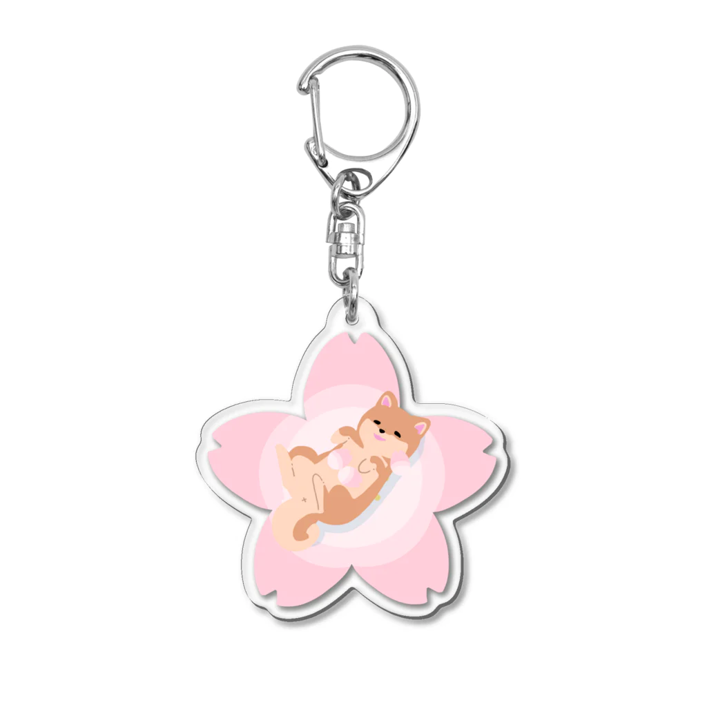 Kotetsu diary(SUZURI店)の柴犬×桜 Acrylic Key Chain