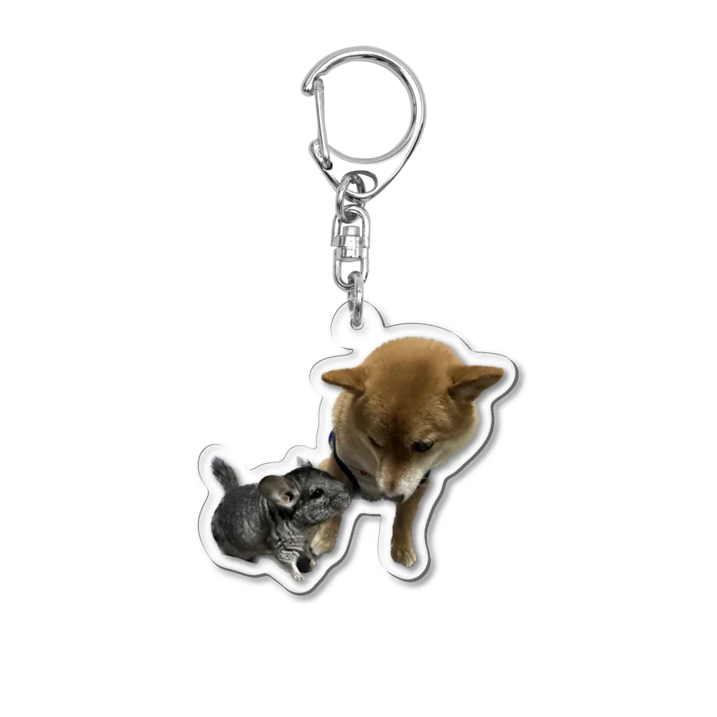 ちくわ🐕しらす🐭ショップのちくわ🐕しらす🐭グッズ Acrylic Key Chain