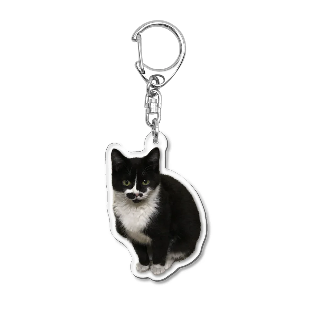 maricoの福猫　のあちゃんのアクキー Acrylic Key Chain